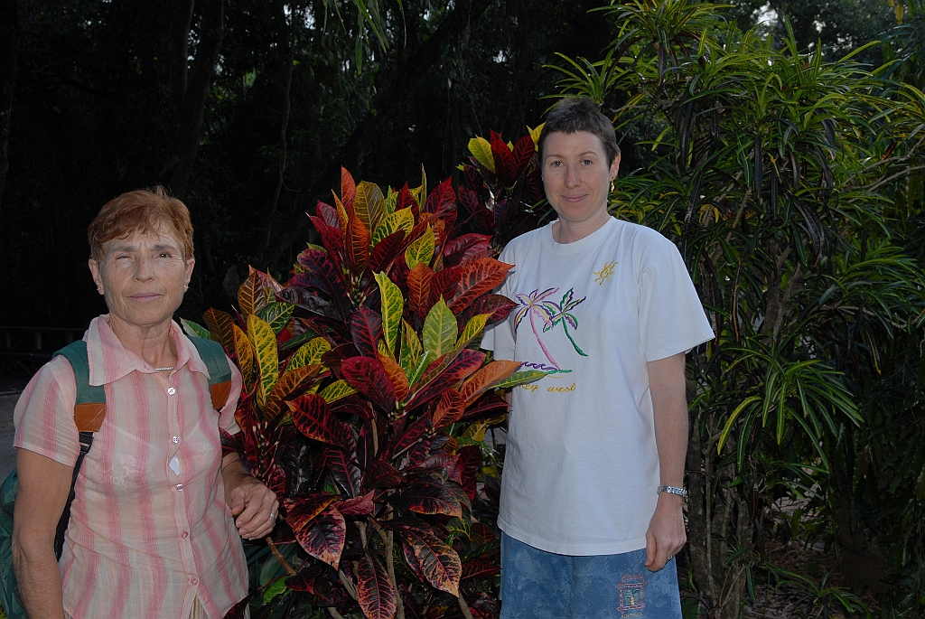 0331 Cairns Botanic Gardens.jpg